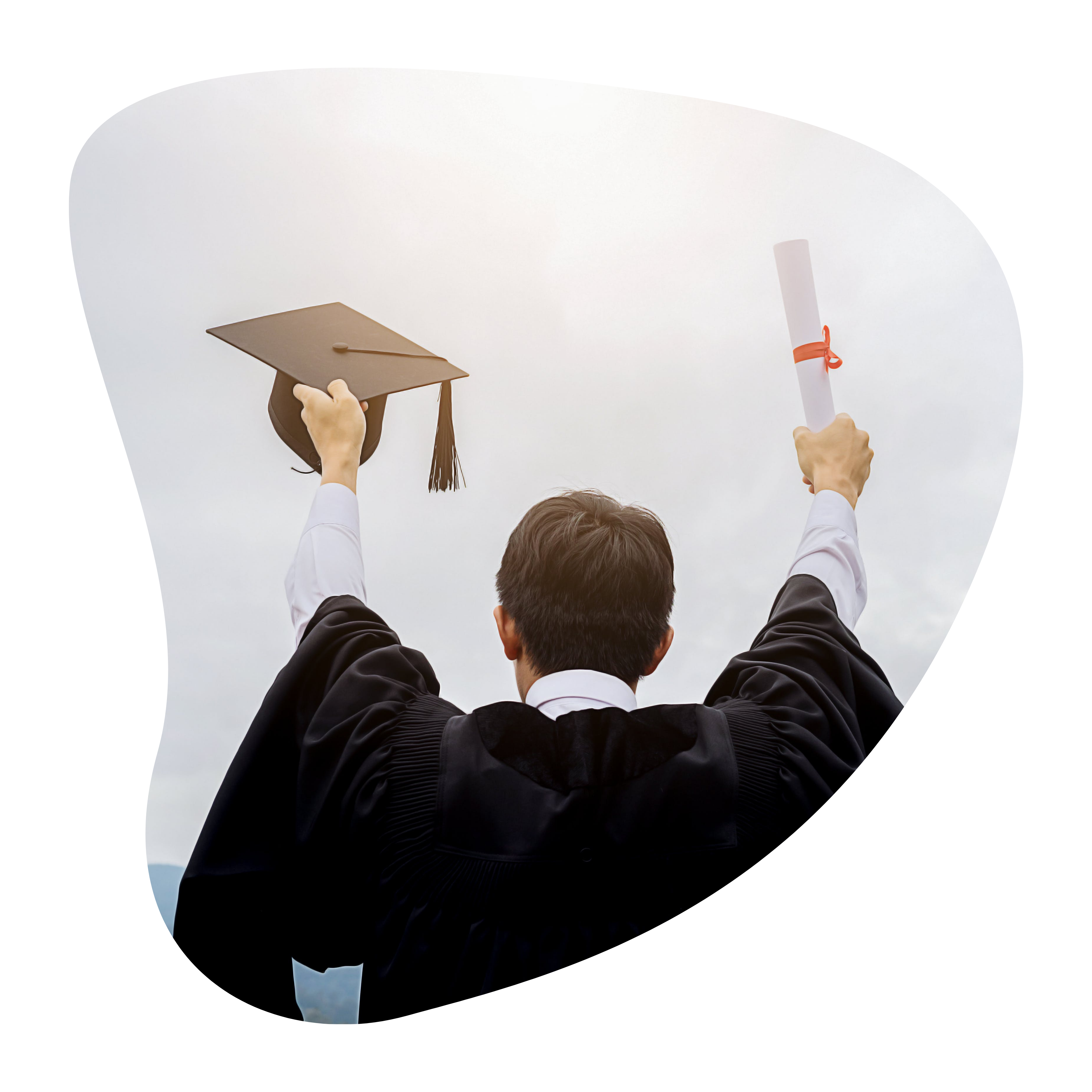 Executive committee overview image