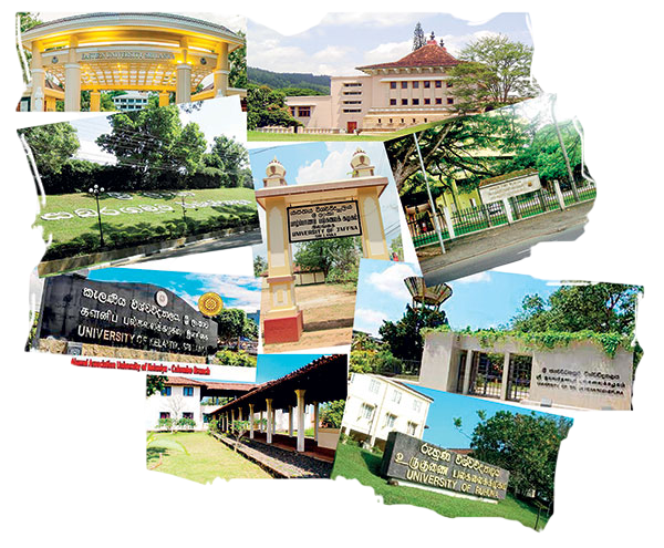 Members overview image